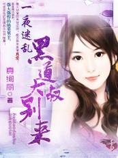 一夜迷乱:黑道大叔别过来