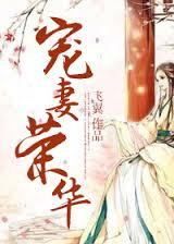 《宠妻荣华》BY飞翼
