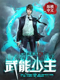大灰狼与小狐狸H